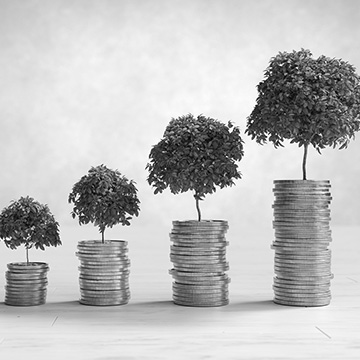 Quotas and Expenditures for Agricultural Bookkeeping